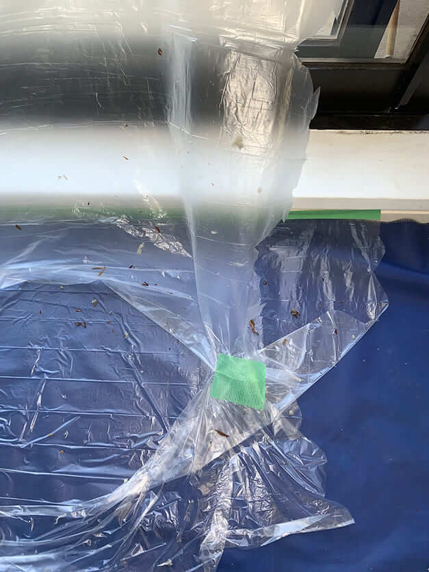 エアコンクリーニング-上池台-ゴキブリの残骸